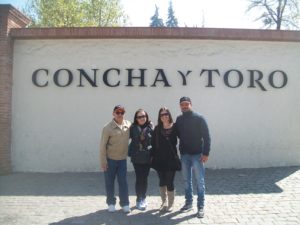 City Tour Santiago + Concha y Toro