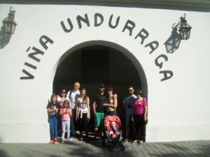 Tour Vinícola Undurraga e Tour Vinicola Concha y Toro